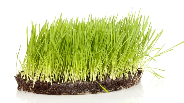 Grama verde com chão isolado em branco — Fotografia de Stock