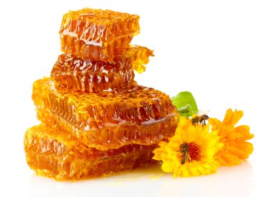 tatlı Petek Bal, arı ve çiçekler, üzerinde beyaz izole