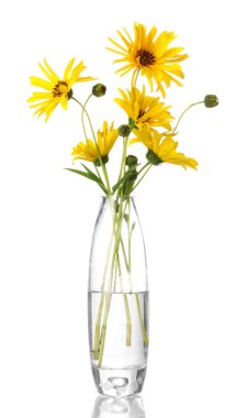 güzel sarı çiçekler Vazoda beyaz izole