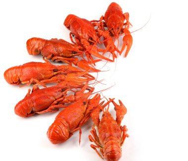 beyaz izole lezzetli haşlanmış crayfishes