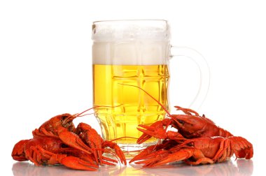 lezzetli haşlanmış crayfishes ve üzerinde beyaz izole bira