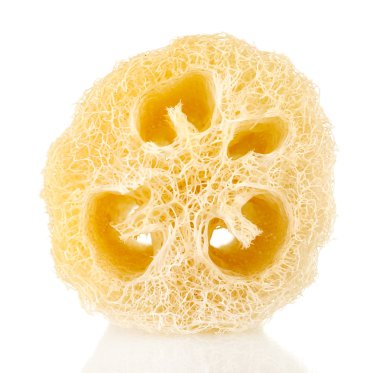 beyaz izole lif kabağı