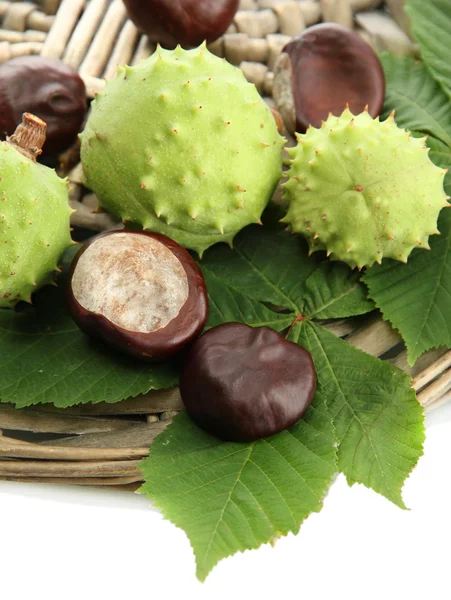 Chestnuts with leaves, isolated on white — Stock Photo, Image