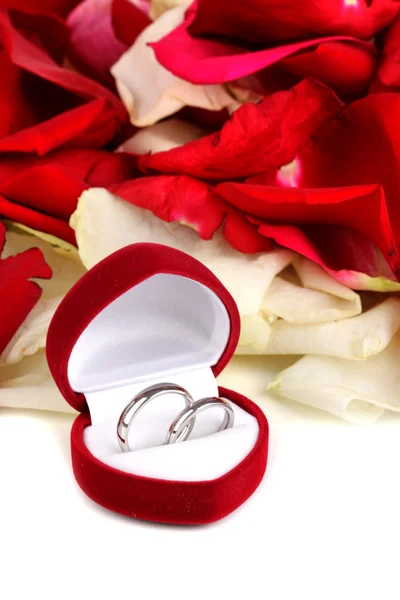 Bella scatola con anelli nuziali su petali di rosa rossi, bianchi e rosa — Foto Stock