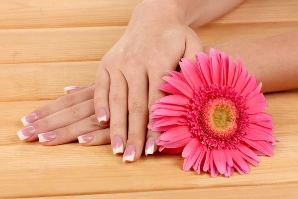 Woman hands with french manicure and flower on wooden background — Stock Photo, Image