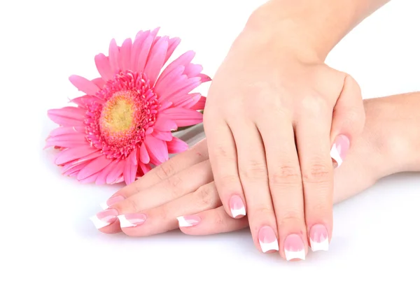 Mani donna con manicure francese e fiore isolato su bianco — Foto Stock