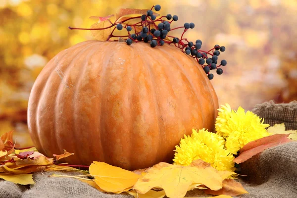 Pumpkin and autumn leaves, on yellow background — Stock Photo, Image