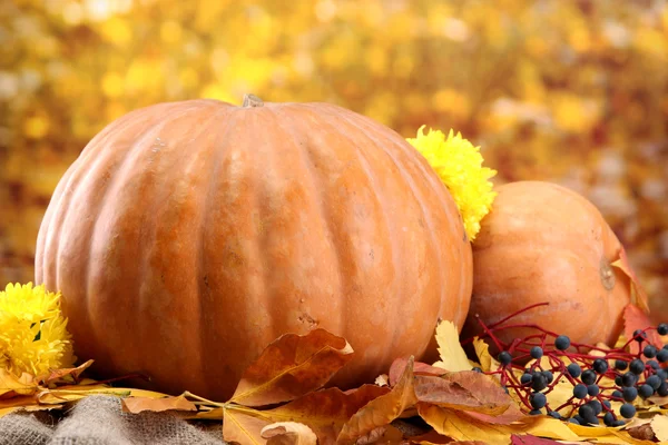 Pumpkins and autumn leaves, on yellow background — Stock Photo, Image