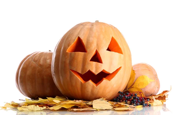 Halloween kurpitsat ja syksyn lehdet, eristetty valkoinen — kuvapankkivalokuva