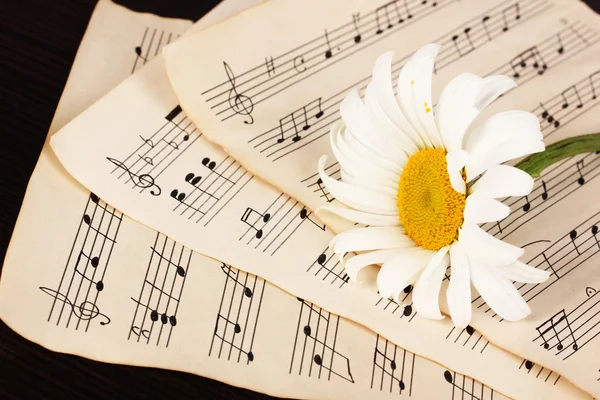 音乐笔记和木桌上的花 — 图库照片