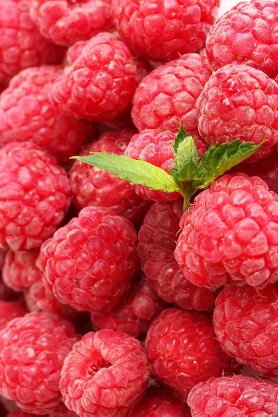 Ripe raspberries background with mint — Stock Photo, Image