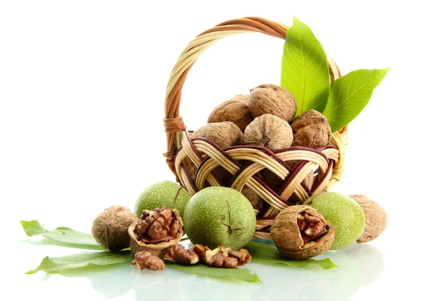 Орехи с зелеными листьями в корзине, изолированные на белом — стоковое фото