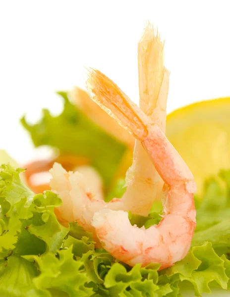 Boiled shrimps, lettuce leaf and lemon, isolated on white — Stock Photo, Image