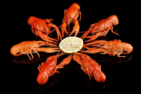 Tasty boiled crayfishes isolated on black — Stock Photo, Image