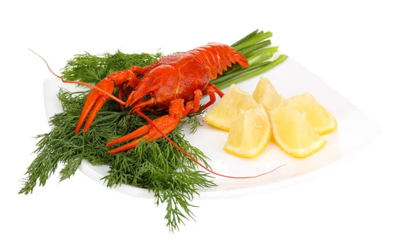 Tasty boiled crayfishes with fennel on plate isolated on white — Stock Photo, Image