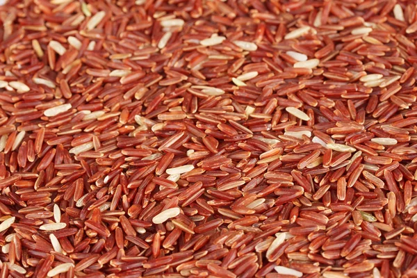 배경 붉은 쌀 — 스톡 사진