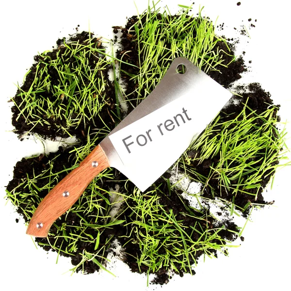 Green grass with ground as concept of land sale isolated on white — Stock Photo, Image