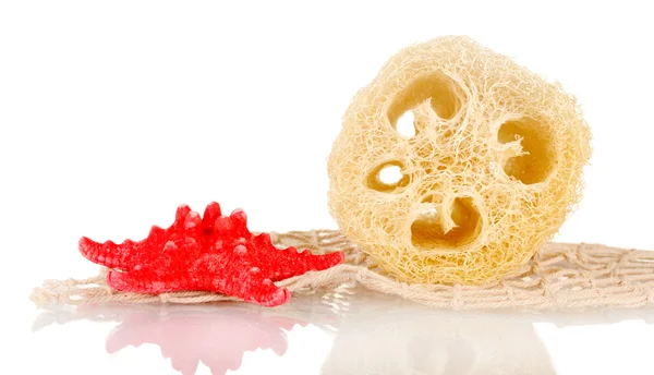 Loofah isoliert auf weiß — Stockfoto