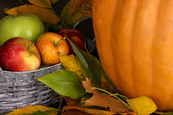 Excellent autumn still life with pumpkin on wooden table on wooden background close-up — Stock Photo, Image