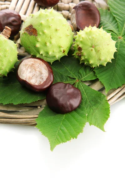 Chestnuts with leaves, isolated on white — Stock Photo, Image