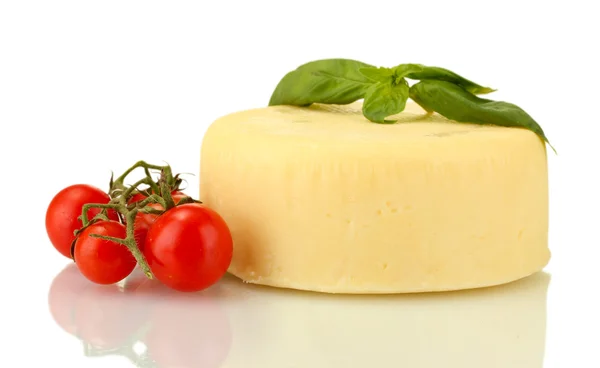 Ser mozzarella z warzyw i ziół na białym tle — Zdjęcie stockowe