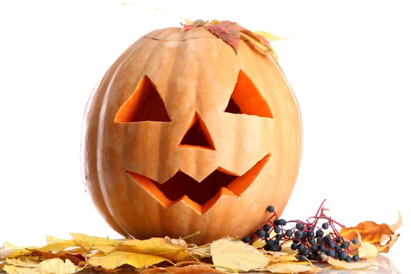 Halloween pumpkin and autumn leaves, isolated on white — Stock Photo, Image