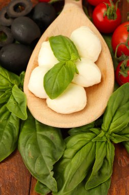 ahşap zemin üzerine tahta kaşık sebze ile mozzarella peyniri