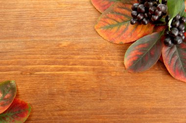 parlak sonbahar yaprakları ve ahşap zemin üzerinde yabani çilek