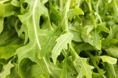 taze rucola salata veya roket marul yaprakları üzerinde beyaz izole