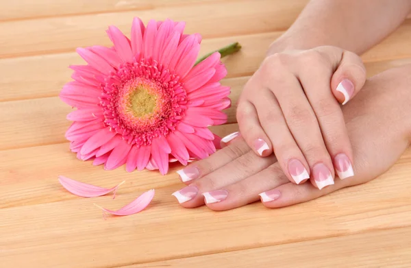 Mãos de mulher com manicure francês e flor em fundo de madeira — Fotografia de Stock