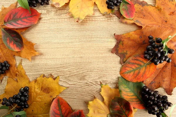 Feuilles d'automne brillantes et baies sauvages, sur fond de bois — Photo