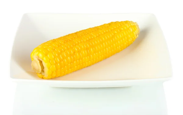 Boiled corn isolated on white on the white plate — Stock Photo, Image