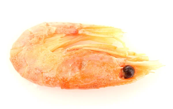 孤立在白色的水煮的虾 — 图库照片
