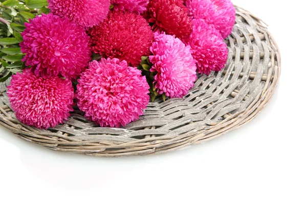 Fiori rosa aster, isolati su bianco — Foto Stock
