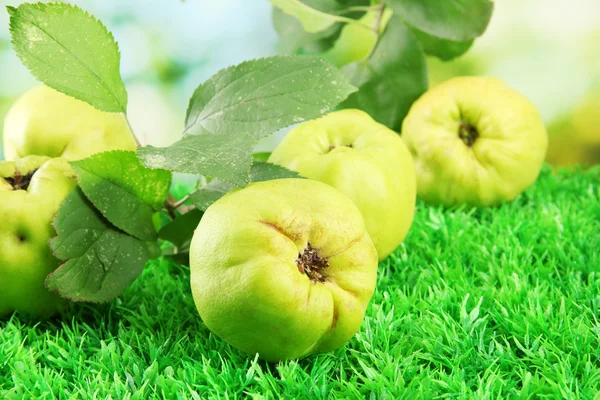 Marmelos doces com folhas, na grama, no fundo verde — Fotografia de Stock