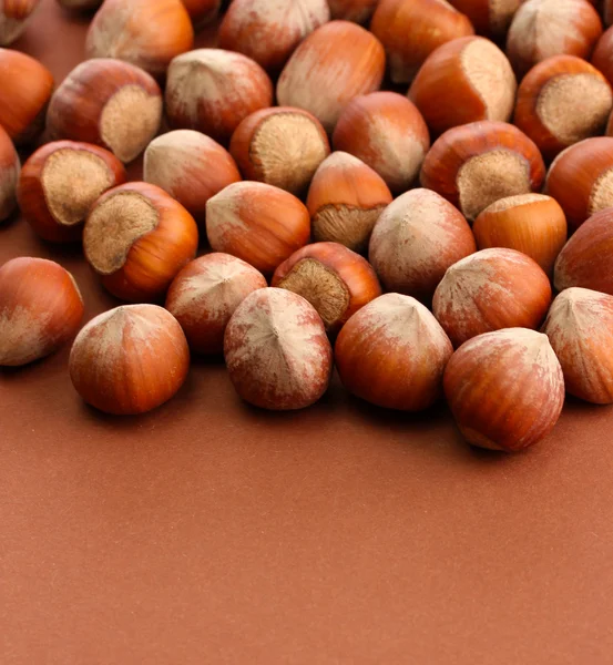 Nocciole saporite, su sfondo marrone — Foto Stock
