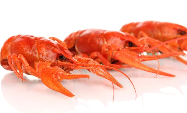 Tasty boiled crayfishes isolated on white — Stock Photo, Image