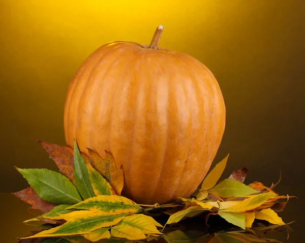 Ripe orange pumpkin with yellow autumn leaves on yellow background — Stock Photo, Image