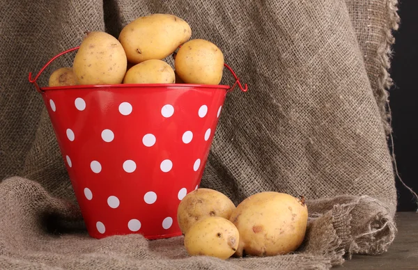 Ripe potatoes in red pail on sacking — Stock Photo, Image