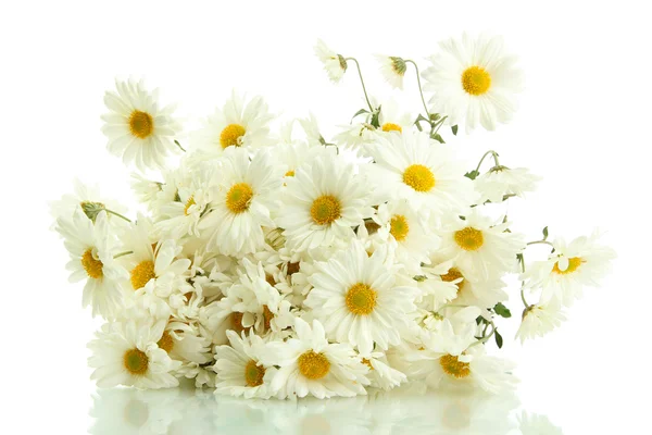 Bouquet di bellissimi fiori di margherite, isolati su bianco — Foto Stock