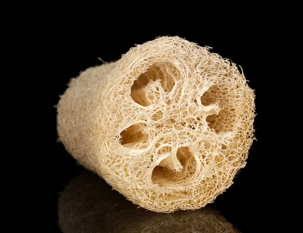 Loofah isolato su nero — Foto Stock