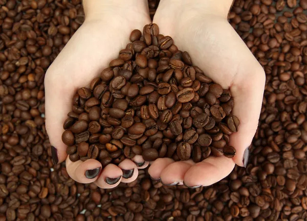 Mains féminines avec grains de café, gros plan — Photo
