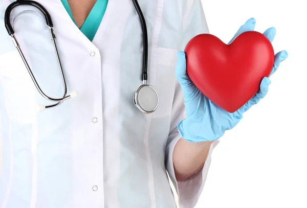 Doctor con el corazón en la mano. aislado en blanco —  Fotos de Stock