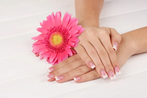 Mãos de mulher com manicure francês e flor no fundo de madeira branco — Fotografia de Stock