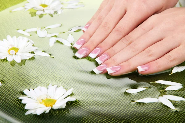 Mãos de mulher com manicure francês e flores em tigela verde com água — Fotografia de Stock