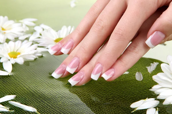 Woman hands with french manicure and flowers in green bowl with water Stock Picture