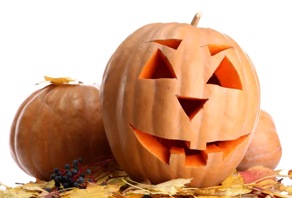 Halloween-Kürbisse und Herbstblätter, isoliert auf weiß — Stockfoto