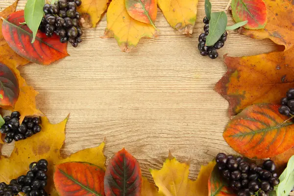 Hojas brillantes de otoño y bayas silvestres, sobre fondo de madera —  Fotos de Stock