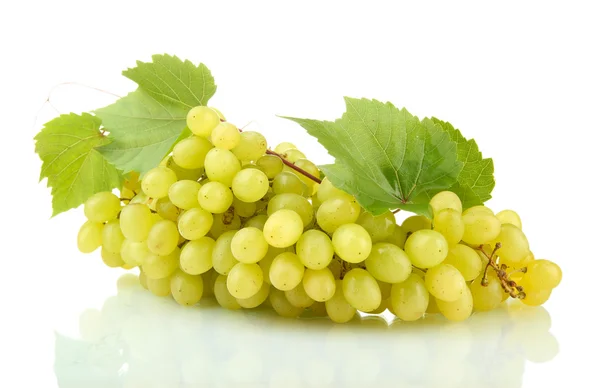 Uvas doces maduras isoladas em branco — Fotografia de Stock