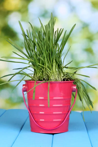 Green grass in bucket on wooden table on bright background — Stock Photo, Image